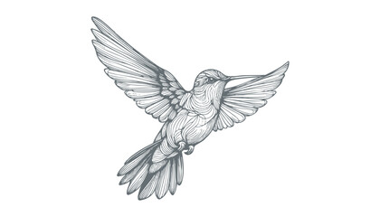 Obraz premium hummingbird vector | bird vector | hummingbird illustration | hummingbird silhouette | hummingbird tattoo | hummingbird engraving | hummingbird drawing