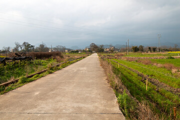 rural landscape in china