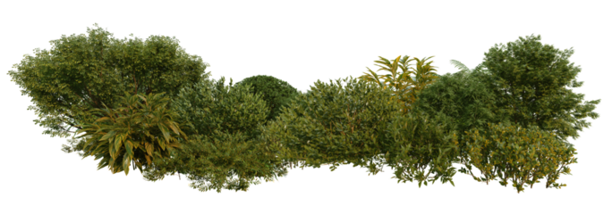 3d render small garden with plants and shrubs on transparent background.