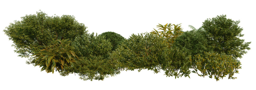 3d render small garden with plants and shrubs on transparent background.