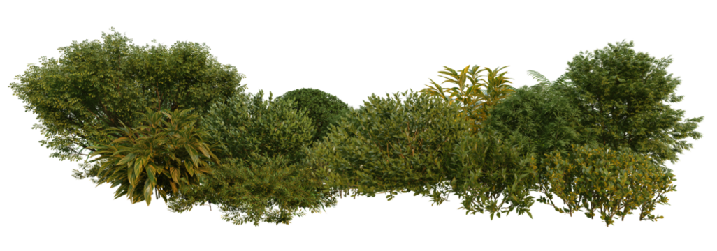 3d render small garden with plants and shrubs on transparent background.