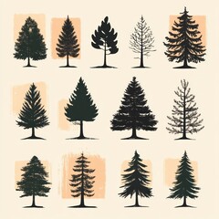 Obraz premium Twelve Silhouettes of Various Coniferous Trees Illustrated