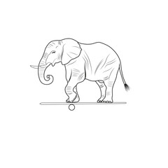 Elephant continuous Hand drawn elephant Vector illustration on a white background.