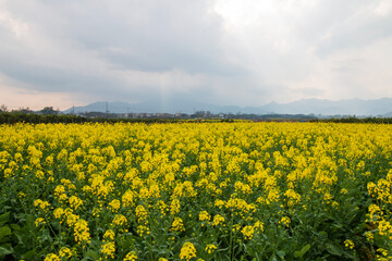 Obraz premium rural landscape in china