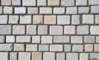 Textured cobblestone pathway