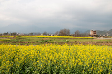 landcape of countryside in china