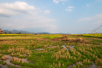 landcape of countryside in china