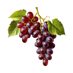 Fototapeta premium Red grape with leaves isolated on a transparent background
