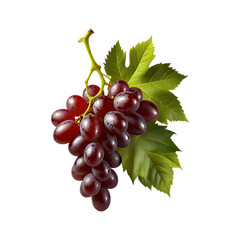 Fototapeta premium Red grape with leaves isolated on a transparent background