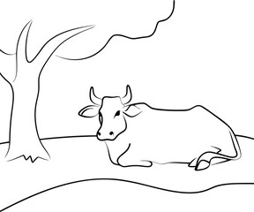 Relaxing Cow Resting Underneath a Shady Tree in Pasture