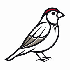 Obraz premium Simple a Sparrow line art vector white background