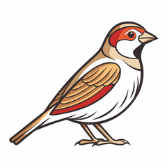 Simple a Sparrow line art vector white background