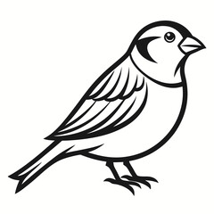 Fototapeta premium Simple a Sparrow line art vector white background