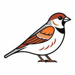 Simple a Sparrow line art vector white background
