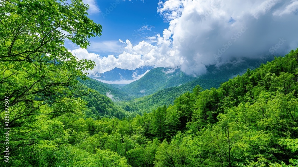 Wall mural Lush Green Mountain Valley Under a Cloudy Sky