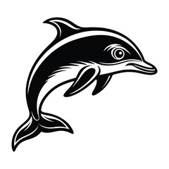 dolphin isolated on white background