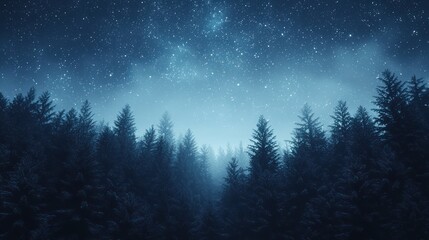 Fototapeta premium Night sky with trees, for backgrounds