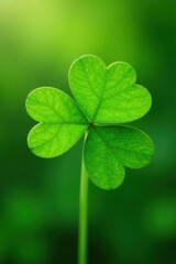 Close-up vibrant green four-leaf clover on blurred background, celebration, symbol, environment