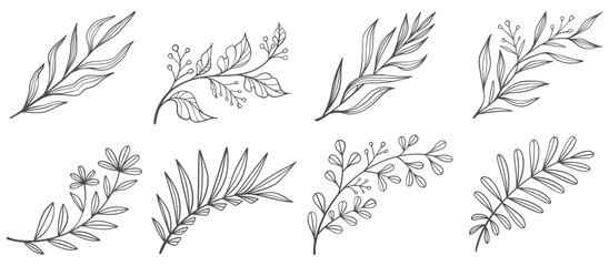 Set of branch with leaves line art vector illustration © sense