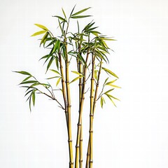 Fototapeta premium Bamboo Plant with Vibrant Green Leaves Against a Light Background in a Minimalist Style