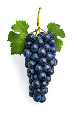 Fototapeta premium A bunch of fresh blue grapes isolated, isolated on white background