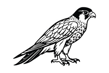 Fototapeta premium Silhouette of falcon isolated on a white background