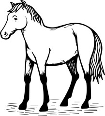 simple vector design horse illustration