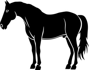 simple vector design horse illustration
