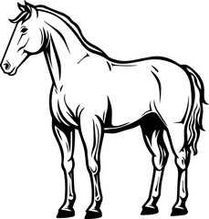 simple vector design horse illustration