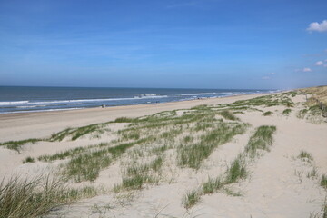 Traumhaft schöner Strand in Noordwijk an der Norsee in Holland mit Dünen