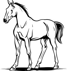 simple vector design horse illustration