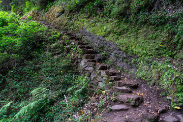 Scenic panoramic view along the Vereda do Larano hike, Madeira island, Portugal.