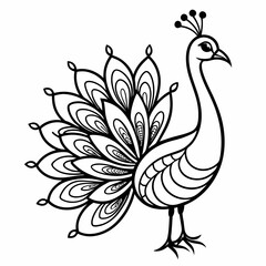 Simple a Peacock line art vector white background