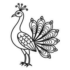 Simple a Peacock line art vector white background