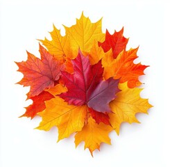 Colorful Autumn Leaves Arrangement with Vibrant Red, Orange, and Yellow Shades on a White Background Ideal for Seasonal Decoration and Nature-Themed Designs