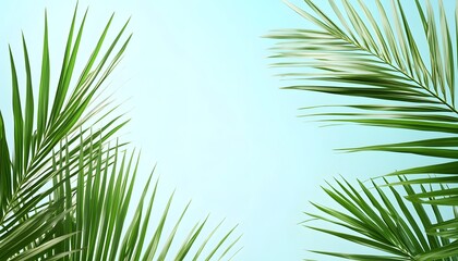 Fototapeta premium Lush Green Palm Fronds Against A Light Blue Sky