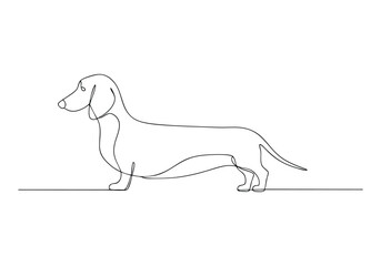Continuous One Line Dachshund Dog | Minimalist Pet Vector Illustration