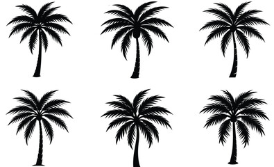 silhouette Palm tree vector set tropical beach