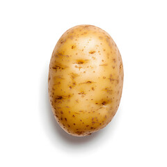 Raw single potato isolated on white background