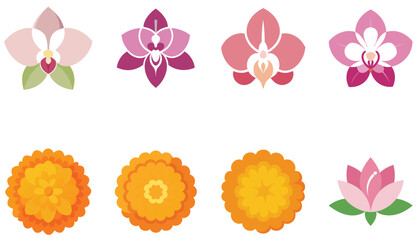 Colorfull flower, floral vector