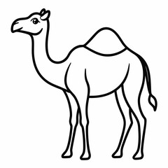 Simple a Camel line art vector white background