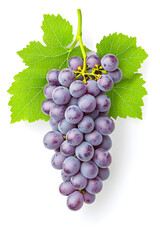 Fototapeta premium A bunch of fresh blue grapes isolated, isolated on white background