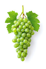Obraz premium A bunch of fresh green grapes isolated, isolated on white background