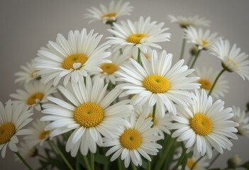Delicate white daisies with bright yellow centers arranged in a bouquet creating a simple yet elegant floral composition perfect for everyday and special occasions