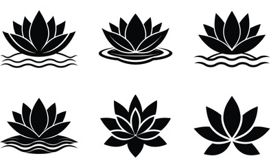 Black and white flower, floral vector