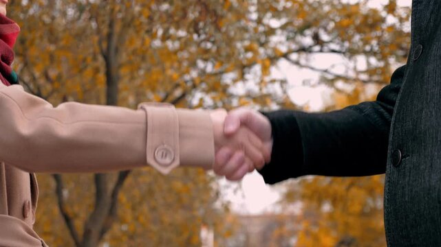 Polite handshake between man and woman at business meeting in autumn park. Joint business work and handshake between company employees. Handshake gesture in concluding agreement between man and woman