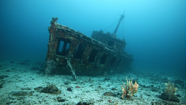 Discover a haunting shipwreck scene underwater a majestic vessel with dangling anchor crabs roaming and sea fans swaying nearby