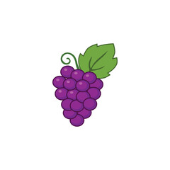 grape vector type icon