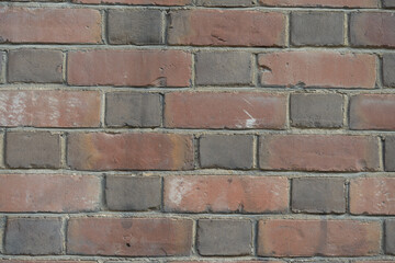 red brick wall (Flemish Bond)