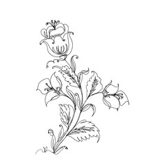 continuous line drawing flowers and leaves